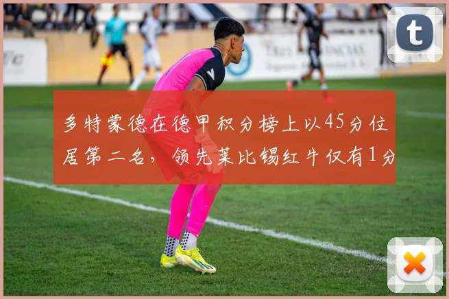 多特蒙德在德甲积分榜上以45分位居第二名，领先莱比锡红牛仅有1分之差