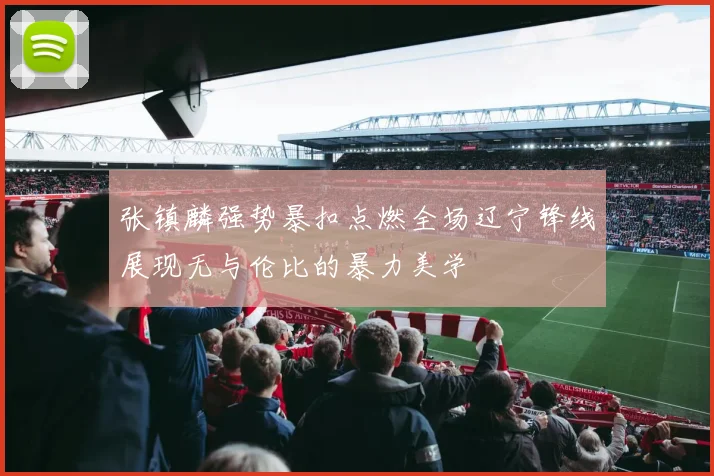 张镇麟强势暴扣点燃全场辽宁锋线展现无与伦比的暴力美学