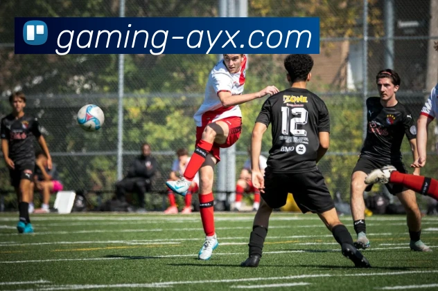 爱游戏发展历程