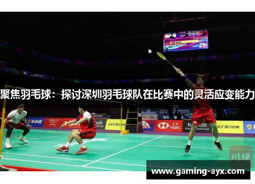 聚焦羽毛球：探讨深圳羽毛球队在比赛中的灵活应变能力